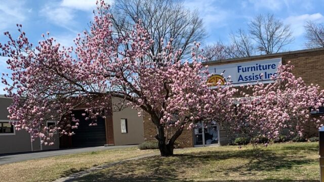 CherryTree2020